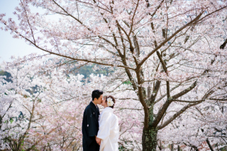 Arch Bridal_和装前撮り：桜編