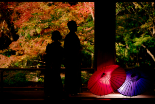 Arch Bridal_和装前撮り【紅葉】：神社仏閣