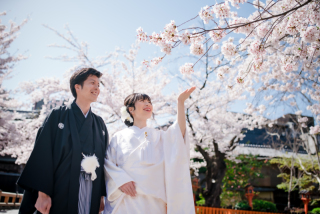 Arch Bridal_和装前撮り：桜編
