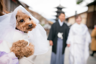 ペットと一緒に撮影