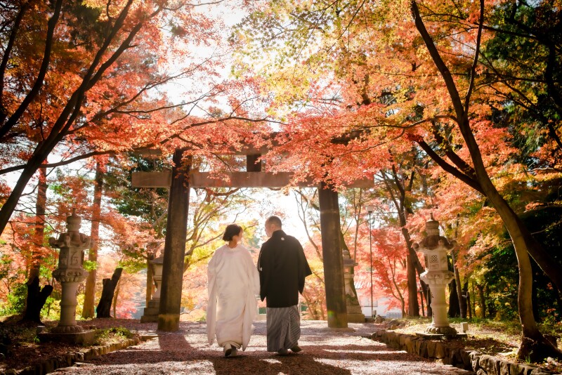 紅葉と鳥居と&hellip;