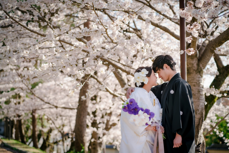 ☆桜シーズン☆和装ロケ撮影【3～5月】【9～12月】衣装2点＋ロケ地1ヵ所＋全データ付きプラン