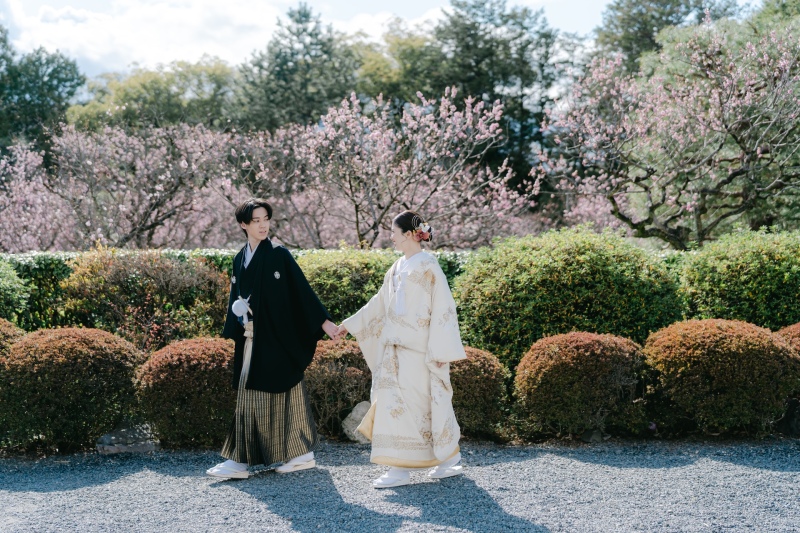 午後の西日に照らされて