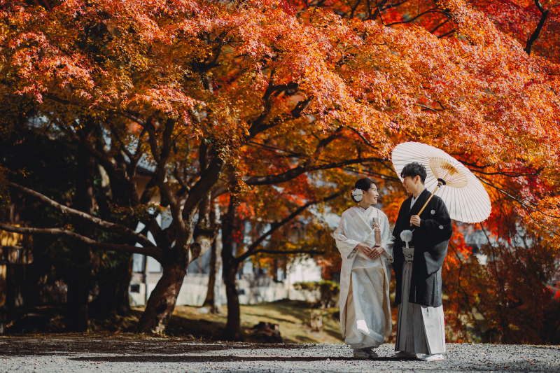 ベストタイミング