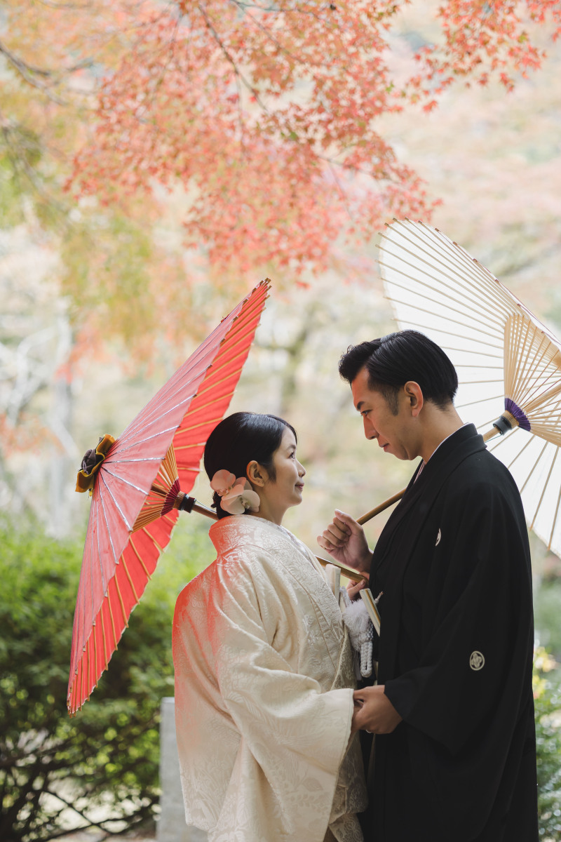 紅葉と