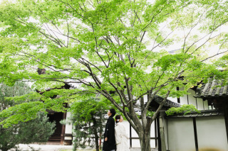 良い天気の中で