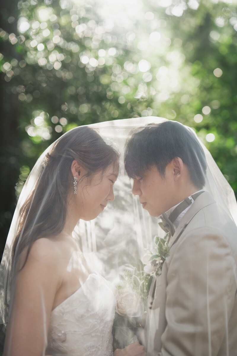 ベール使用して