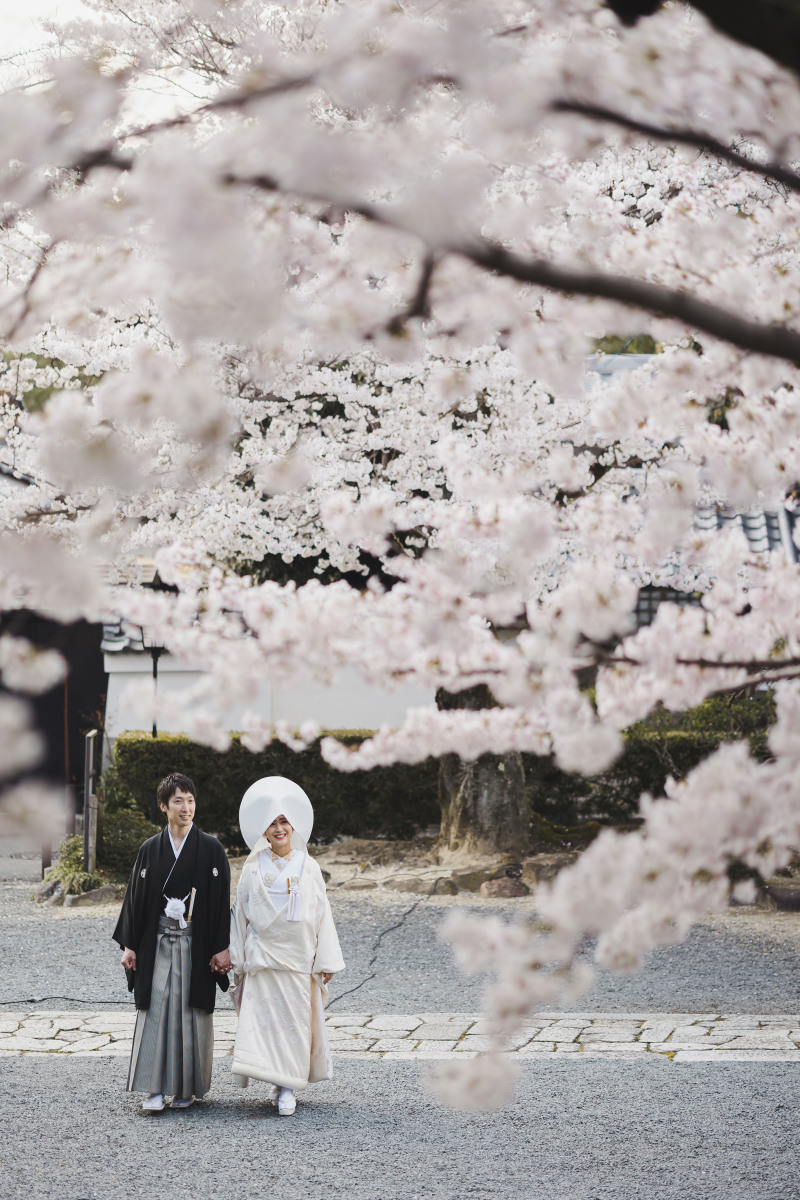 来年の桜も楽しみです