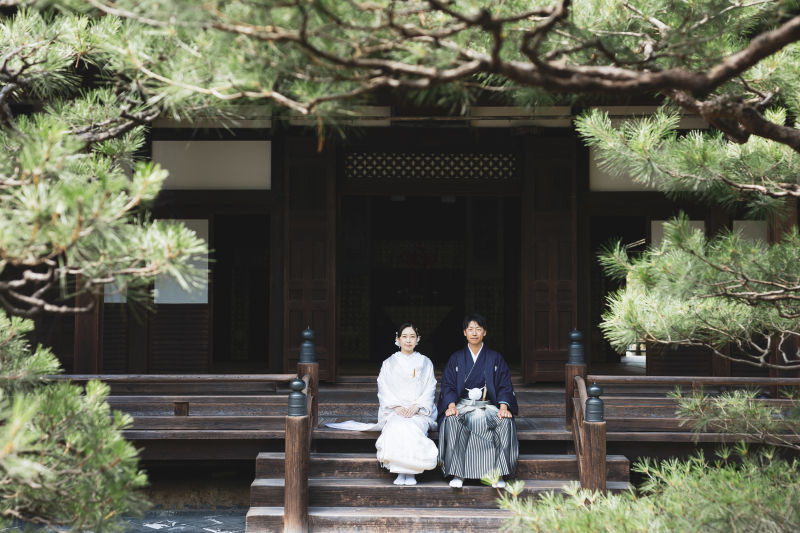 松の木に囲まれて