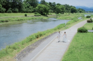 新緑の鴨川
