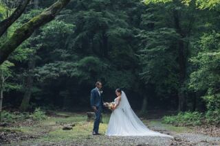 夏の宝ヶ池公園
