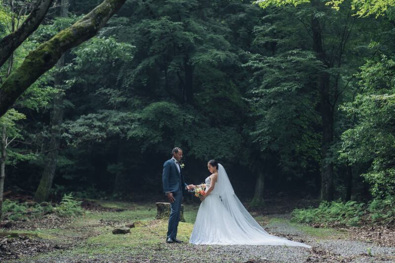 夏の宝ヶ池公園