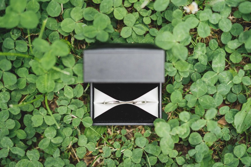 2人の大切なものも写真の中に