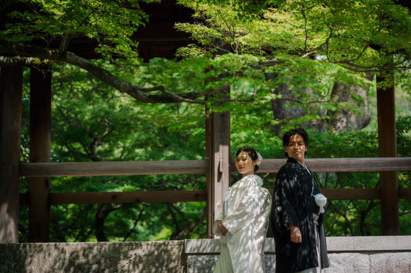 新緑での東福寺撮影