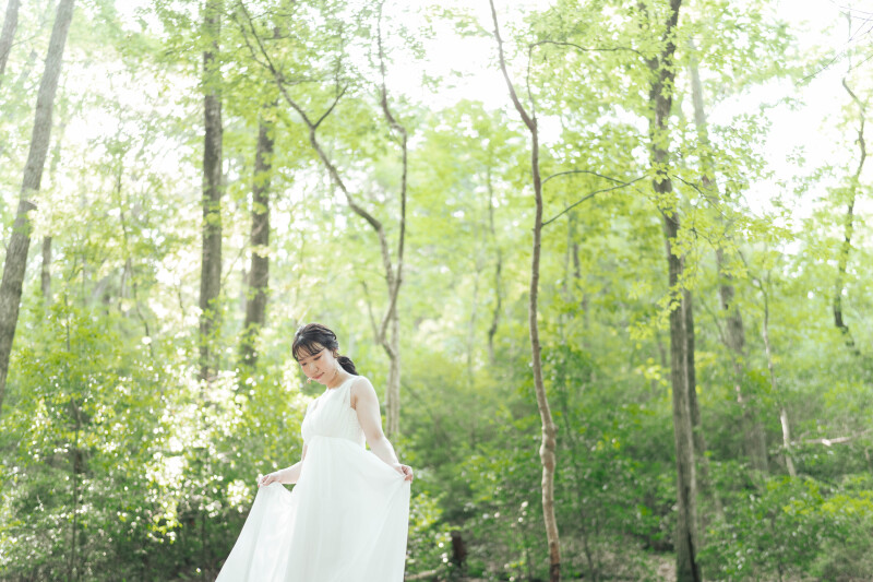 京都市内とは思えない静かさ 　