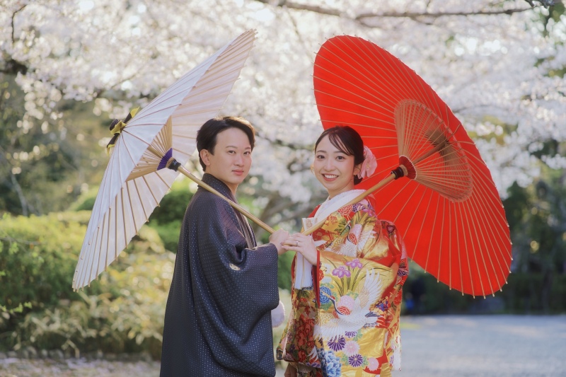 夕暮れの桜景色