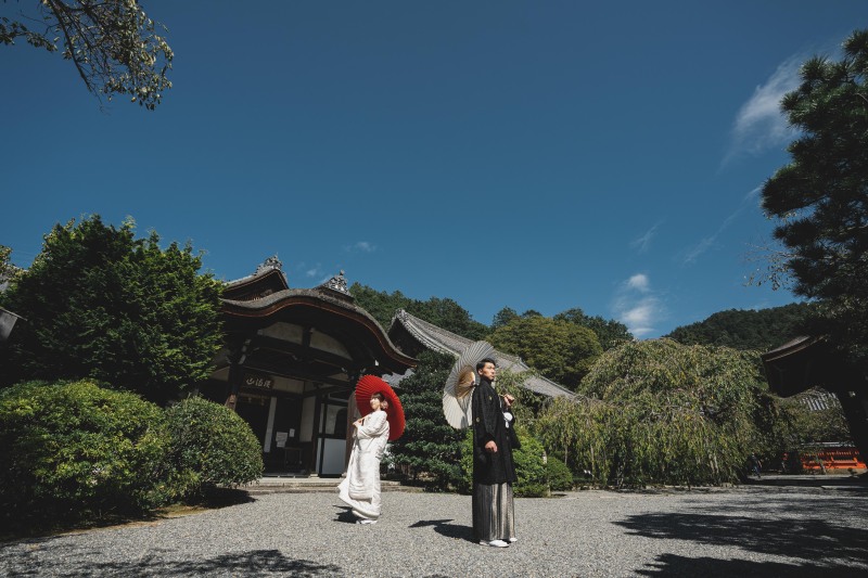 迫力ある写真を