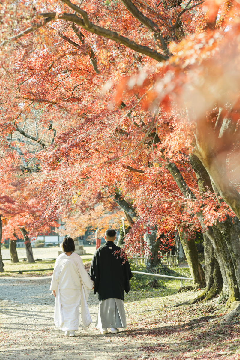 紅葉の中をお二人でお散歩