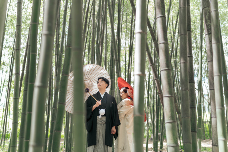 静かで落ち着いた境内 