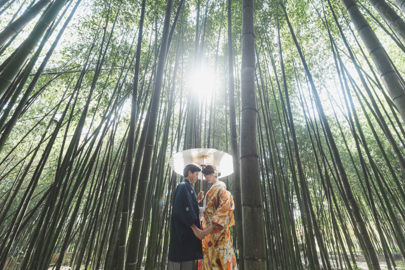 竹林の中で