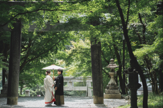 清涼感のある夏写真を