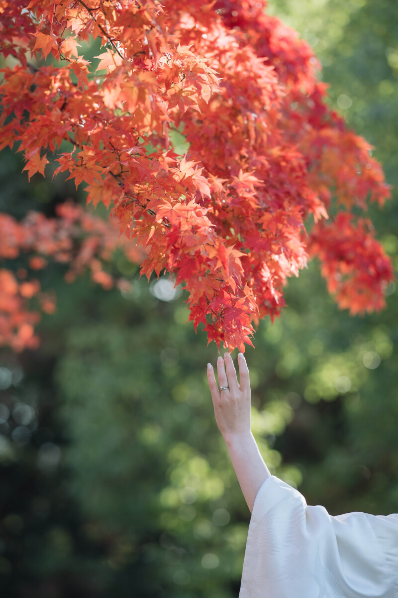 手元のショット