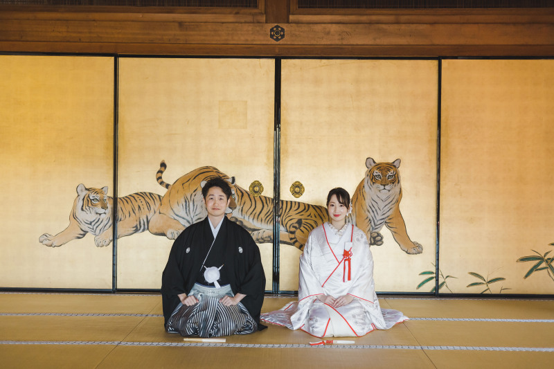 今年は寅年
