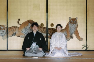 新緑の金戒光明寺