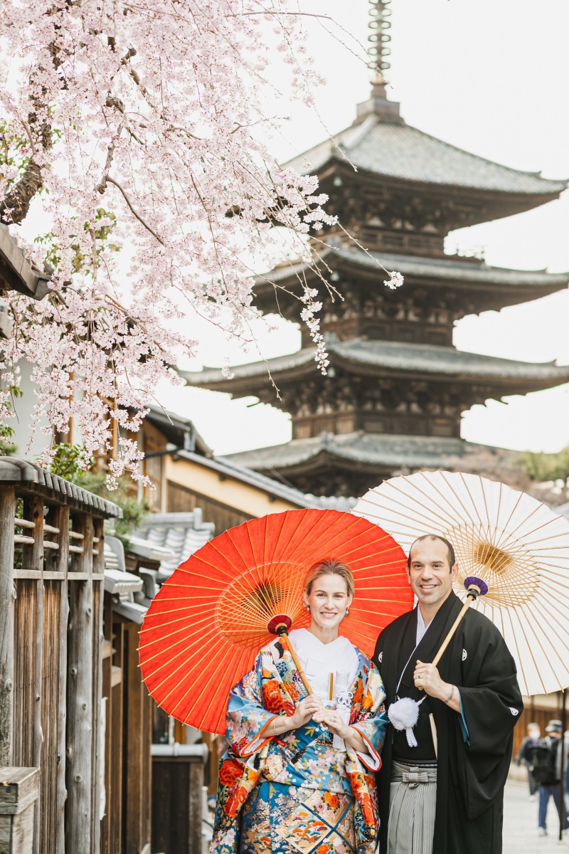 八坂の塔×桜の貴重な撮影スポット