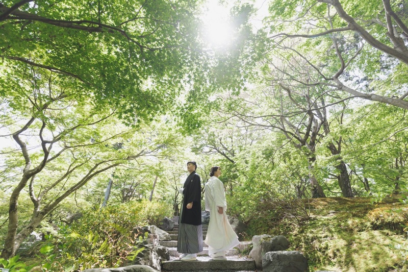 新緑のトンネル