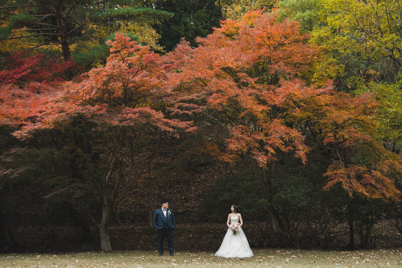 鮮やかな紅葉を背景に