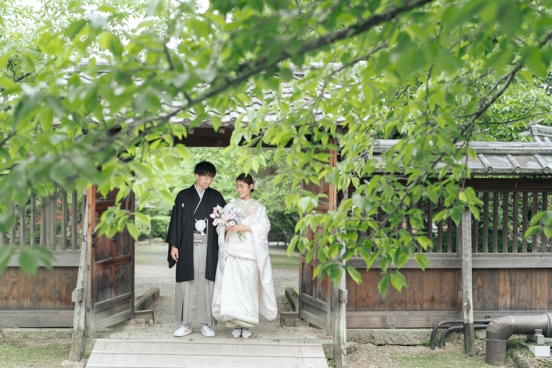 本格的な夏の前に