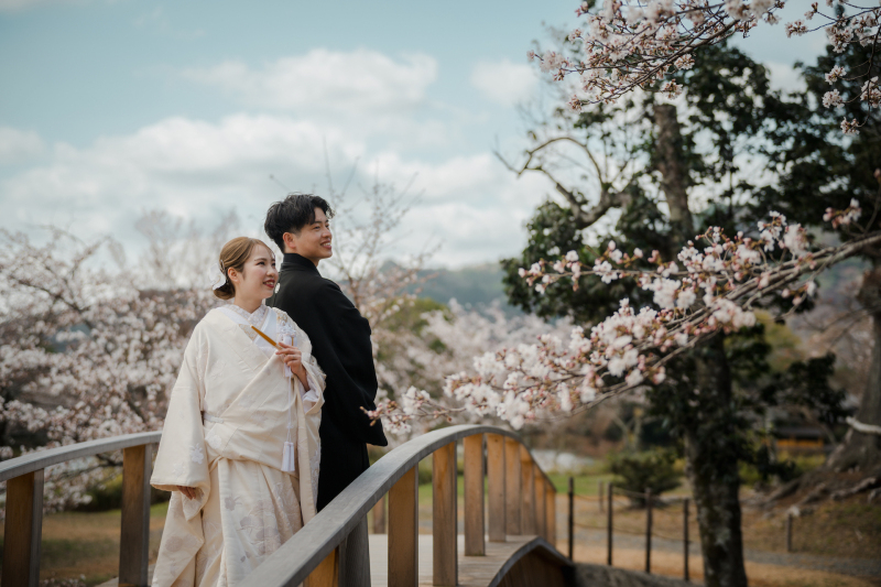 橋を使用して桜を一緒に