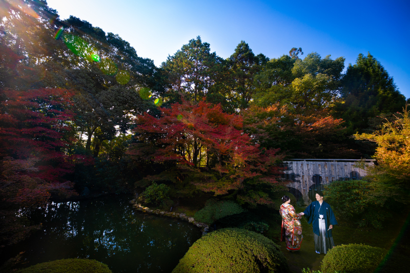 お庭の紅葉ポイント