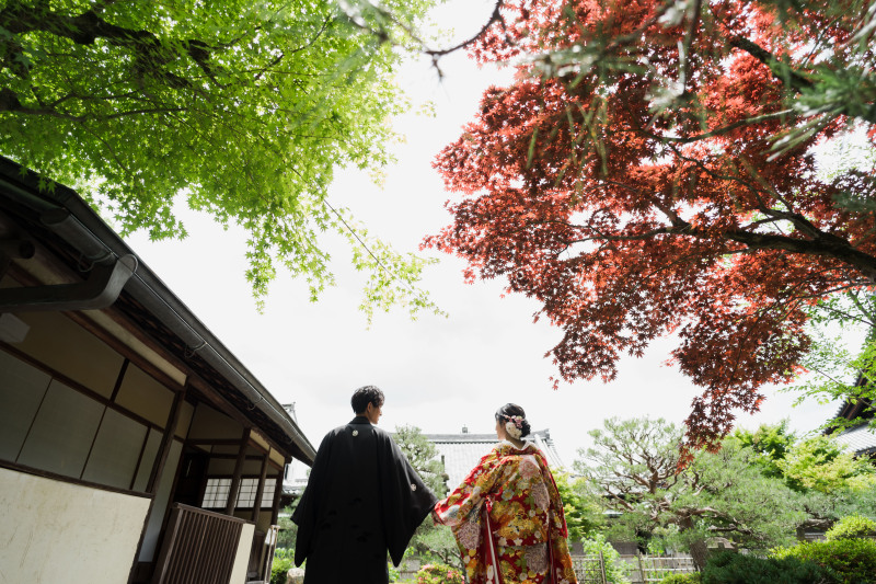 6月の金戒光明寺
