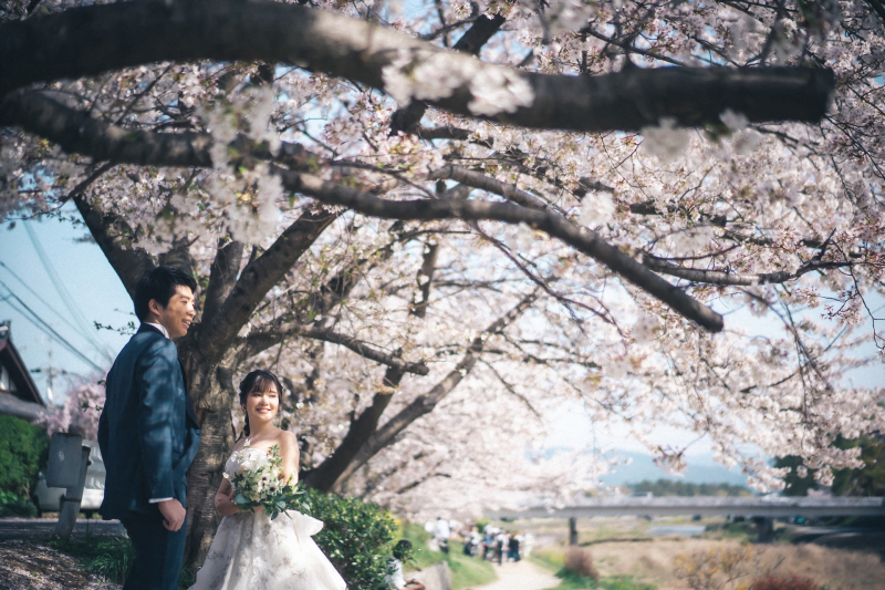 桜満開のベストショット