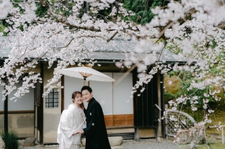 桜シーズンは計画的に