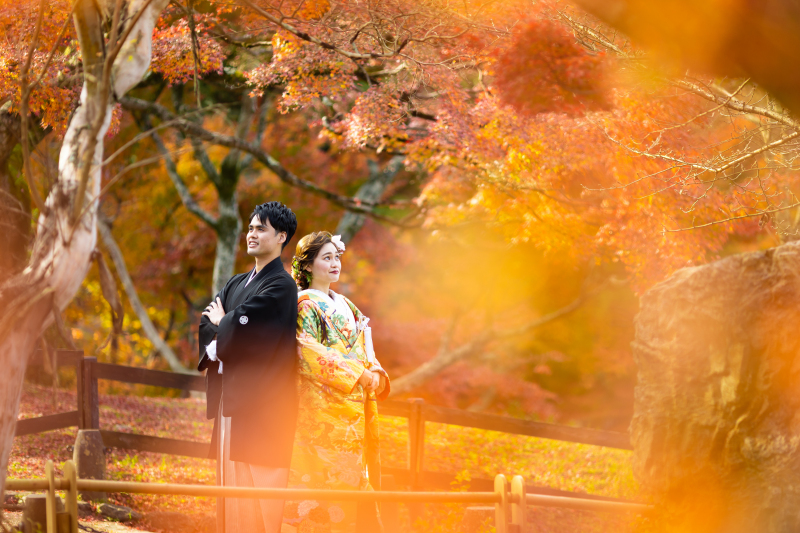 写真全体オレンジ色