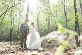 緑と光が溢れる公園とスタジオ