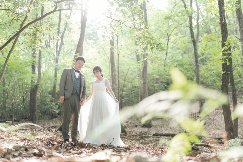 緑と光が溢れる公園とスタジオ