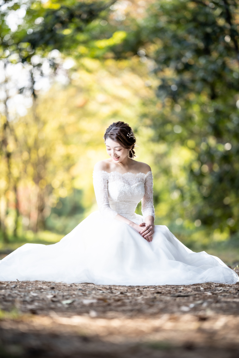 落ち葉のじゅうたん