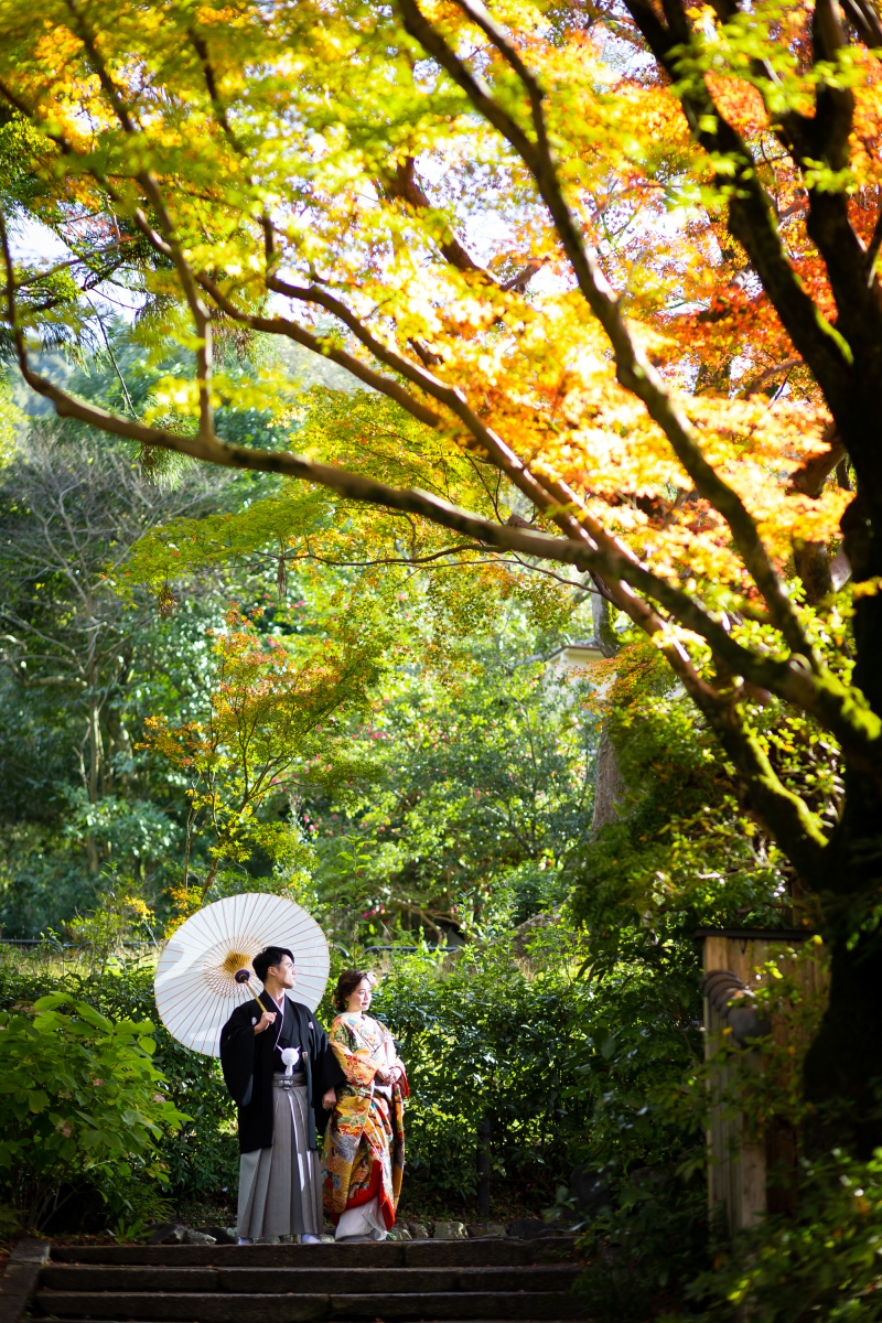 グラデーション