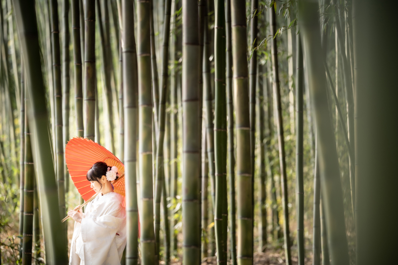 嵐山も良いですが