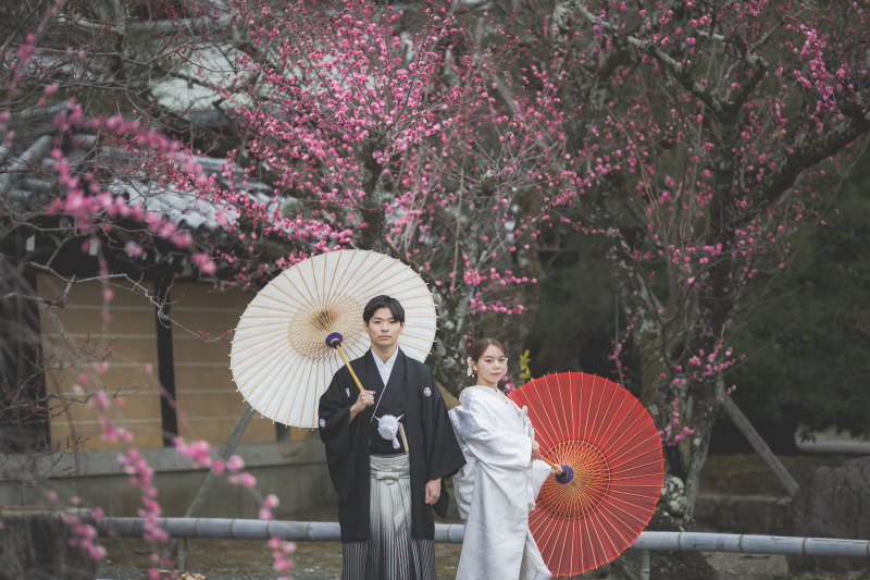 梅を背景にして