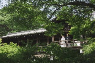 青と緑で季節感を