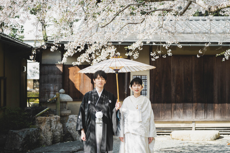 締めも桜ショットで。