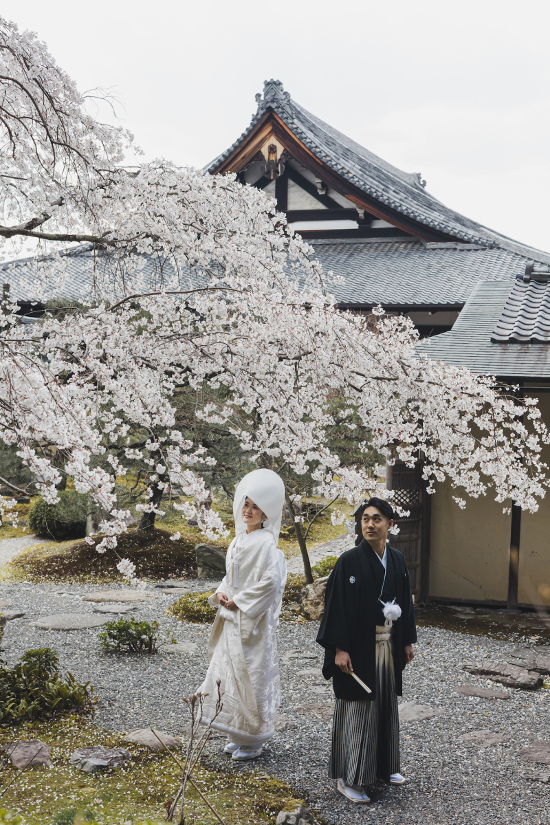 外の桜と一緒に
