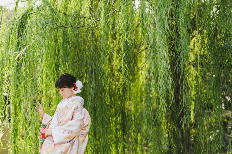 円山公園の魅力