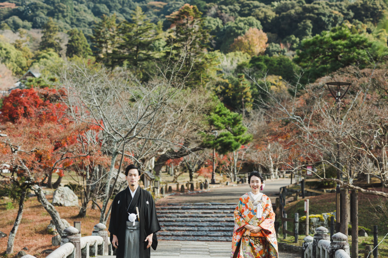 12月の東山エリア(円山公園+八坂の塔)