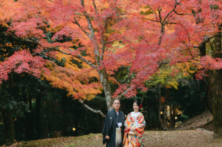 紅葉見頃の嵐山